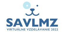 VV2022 logo