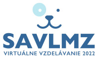 VV2022 logo
